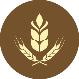 BRRC Logo